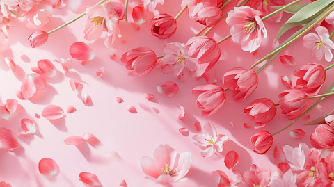 质感郁金香花朵