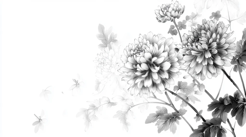 水墨风手绘菊花