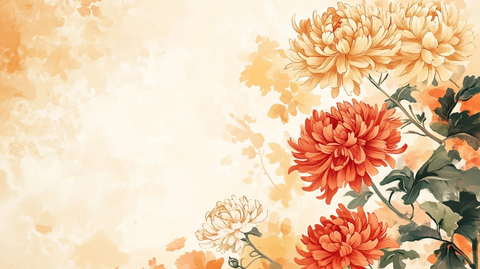 唯美菊花背景