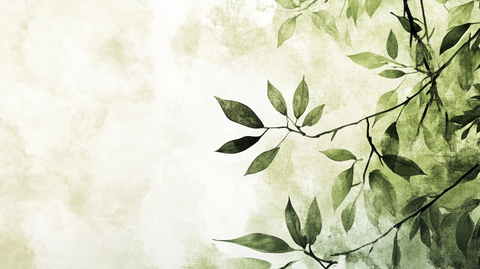 唯美枝叶背景