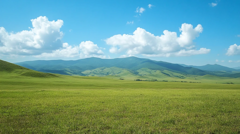 草原风光壁纸