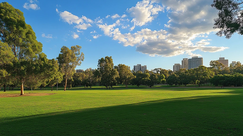 绿色都市青草绿地