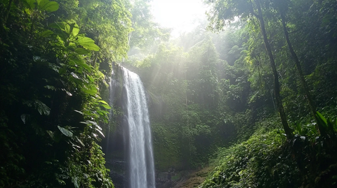 水帘瀑布绿色森林