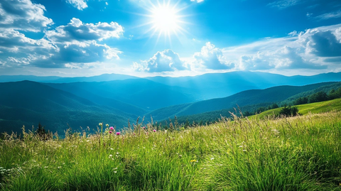 草原上的一束阳光