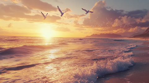 海边夕阳落日余晖背景