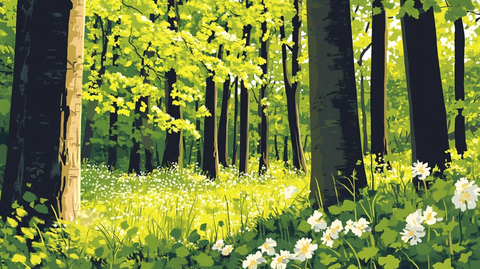 春天森林插画