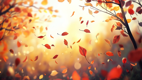 唯美秋日落叶