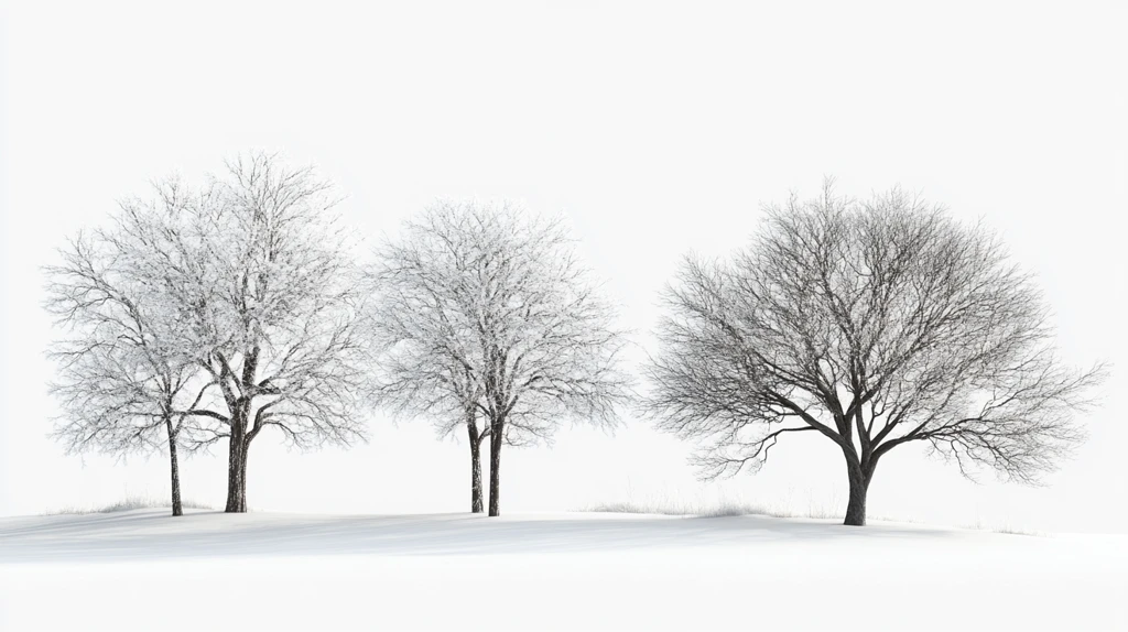 冬季雾凇树挂素材