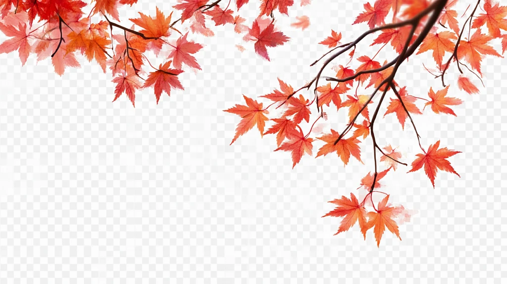 枝丫枫叶素材