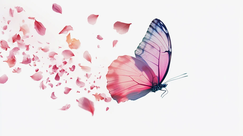 蝴蝶与花瓣