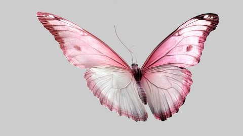 蓝绿色渐变彩蝶