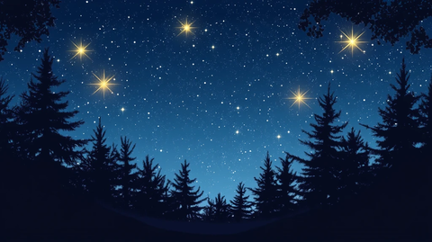 树上的星星