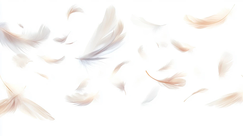 梦幻飞鸟自由插画背景