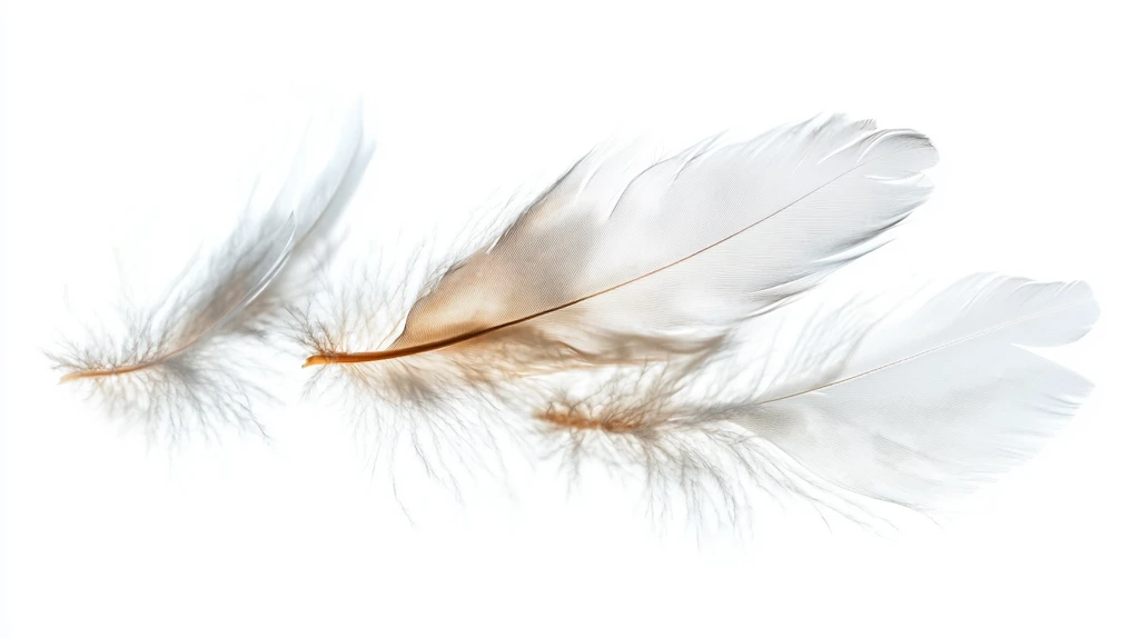 光线翅膀唯美翅膀设计