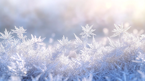 霜花高清图