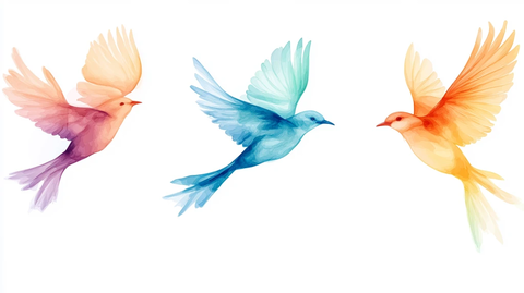 飞鸟素材手绘喜鹊素材