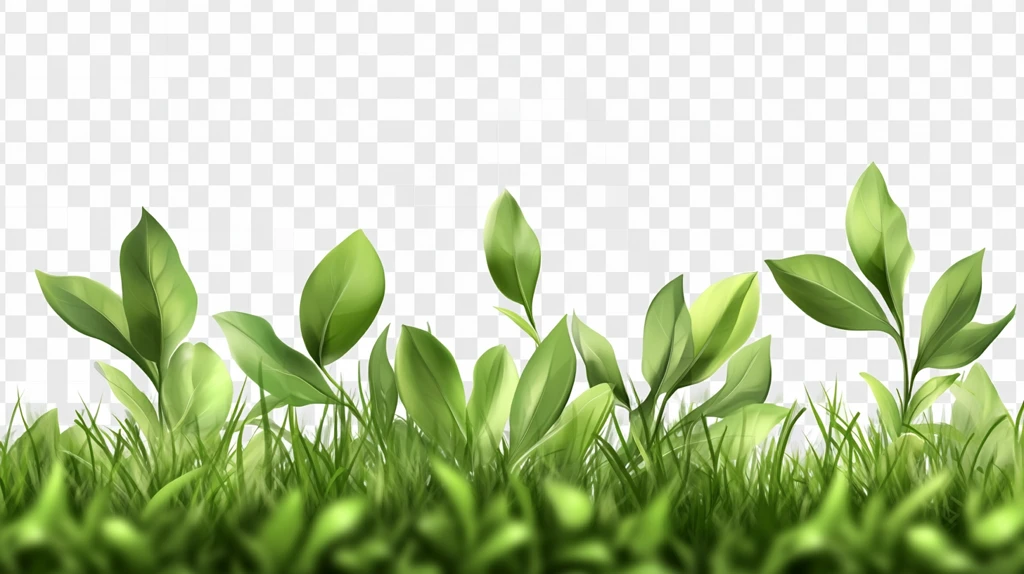 绿草叶素材