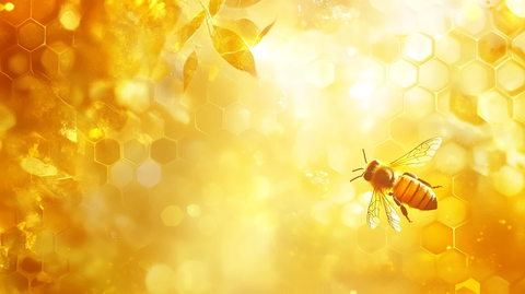 蜜蜂蜂巢阳光