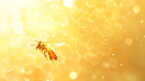 蜜蜂背景素材