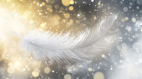 白色羽毛光影