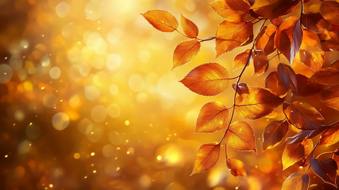 金色树叶背景