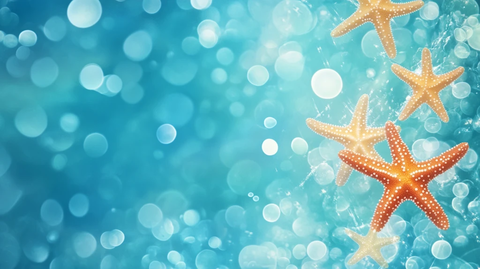 海滩水下星鱼景