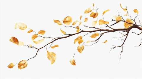 干枯的树枝插画