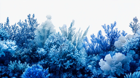 梦幻的海底珊瑚背景