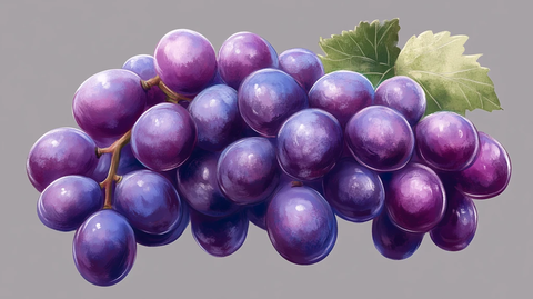 手绘写实葡萄