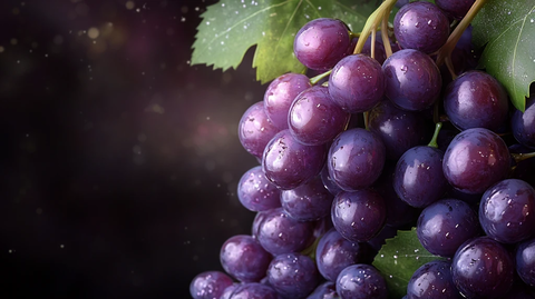 高清唯美葡萄特写红提