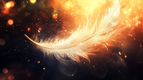 翅膀光线光辉历程