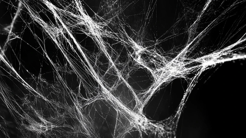 抽象唯美黑白线条丝线