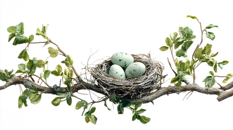 鸟窝鸟巢素材