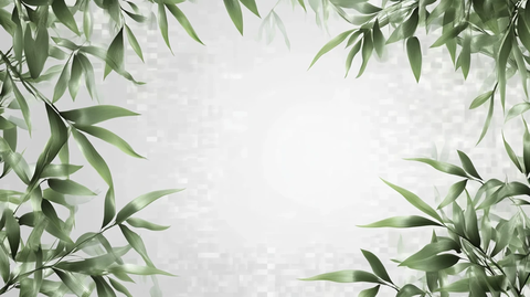 竹林竹叶背景墙