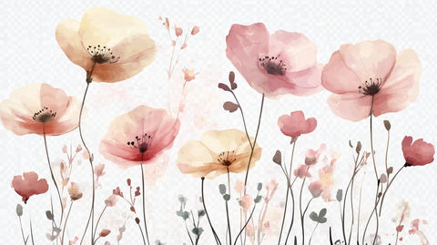 水彩水墨虞美人