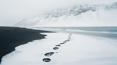 冰天雪地足印