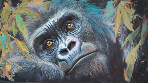 猩猩插画图案印花