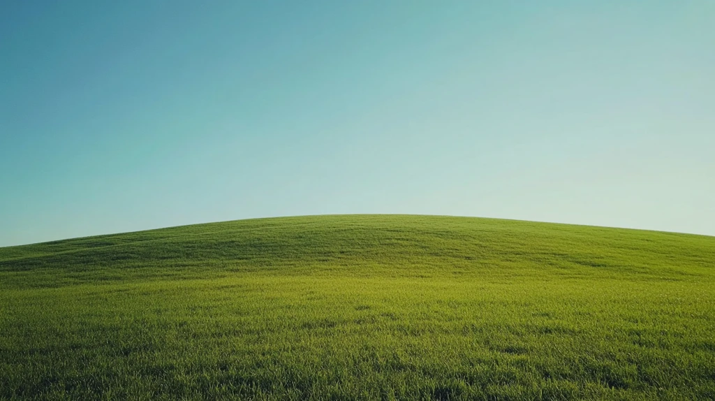 电脑墙纸绿色背景