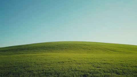 电脑墙纸绿色背景