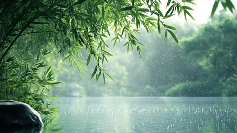 竹林雨景