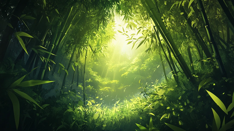 竹林深处背景素材