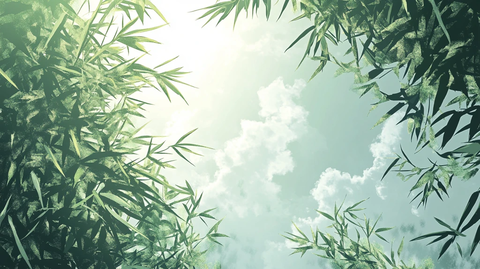 唯美竹叶背景