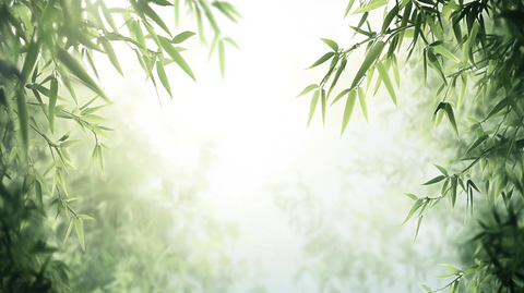 唯美竹叶背景