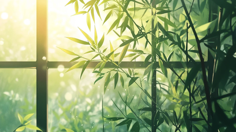 窗外竹景茂密竹林