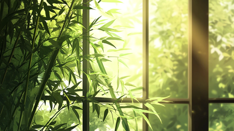 窗外竹景茂密竹林