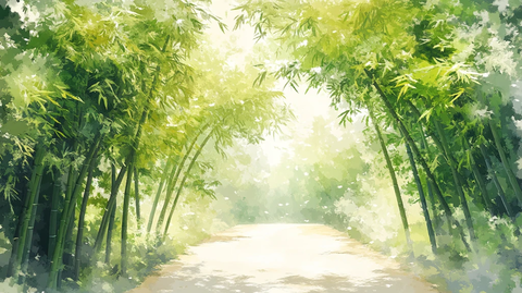 唯美竹林小路