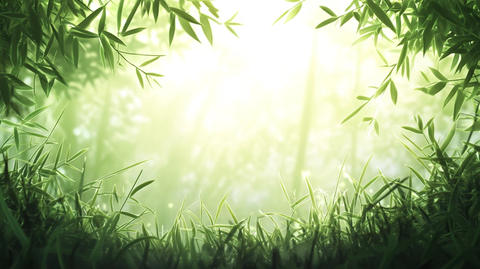 唯美竹林背景