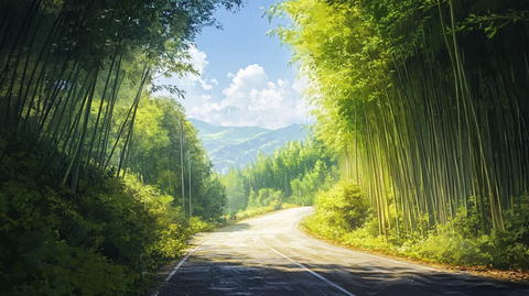 唯美竹林小路