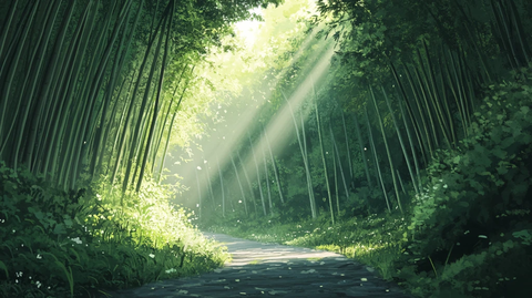唯美竹林小路