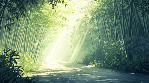 阳光下的竹林小路